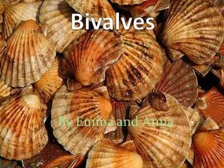 Bivalves