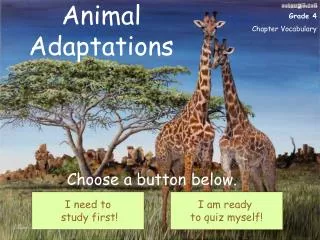 Animal Adaptations