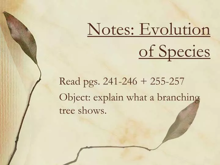 notes evolution of species