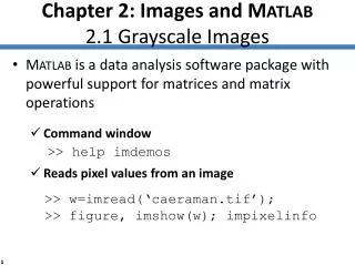 Chapter 2: Images and M ATLAB 2.1 Grayscale Images
