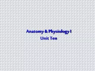 Anatomy &amp; Physiology I Unit Ten