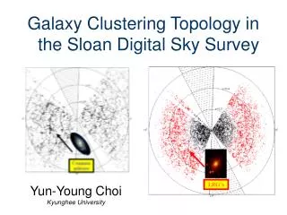 Galaxy Clustering Topology in the Sloan Digital Sky Survey