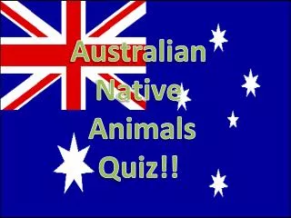 Australian Native Animals Quiz!!