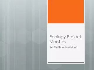 Ecology Project: Marshes