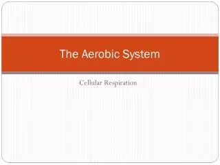 The Aerobic System