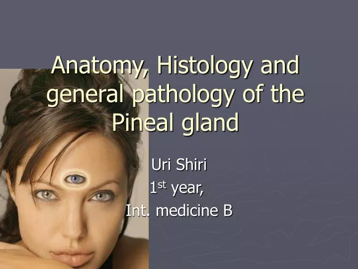 anatomy histology and general pathology of the pineal gland