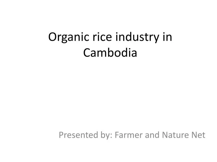 organic rice industry in cambodia