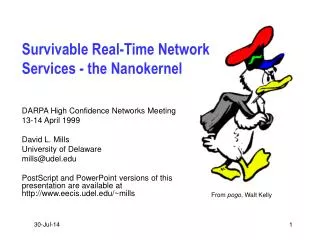 Survivable Real-Time Network Services - the Nanokernel