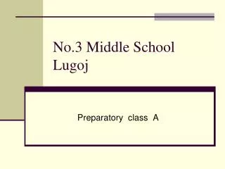No.3 Middle School Lugoj