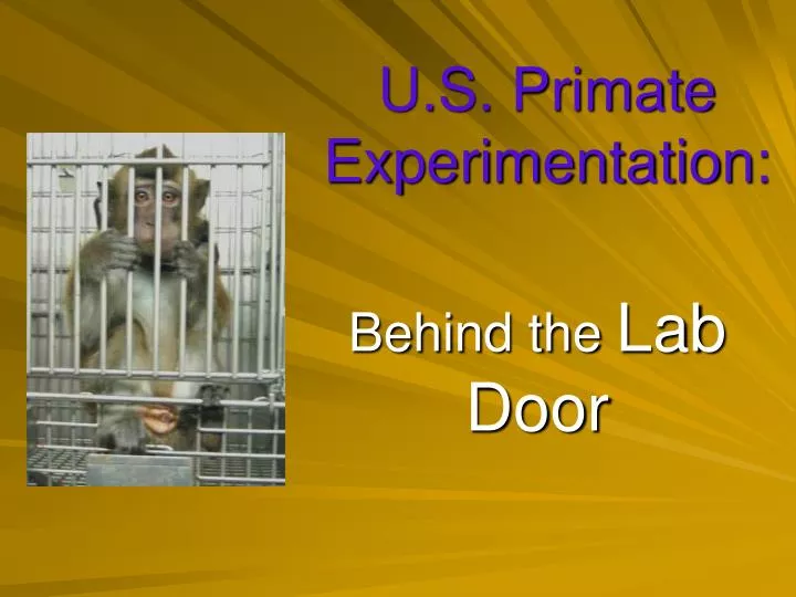 u s primate experimentation