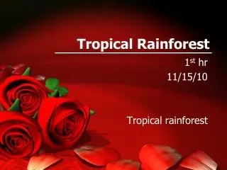 tropical rainforest