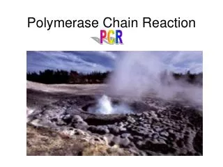 Polymerase Chain Reaction