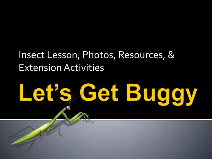 insect lesson photos resources extension activities