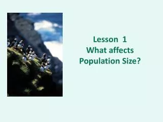 Lesson 1 What affects Population Size?