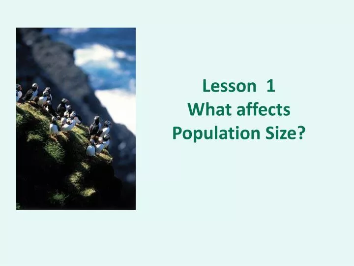 lesson 1 what affects population size