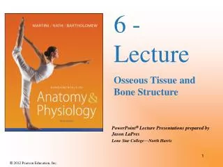6 - Lecture Osseous Tissue and Bone Structure