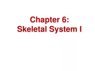 Chapter 6: Skeletal System I