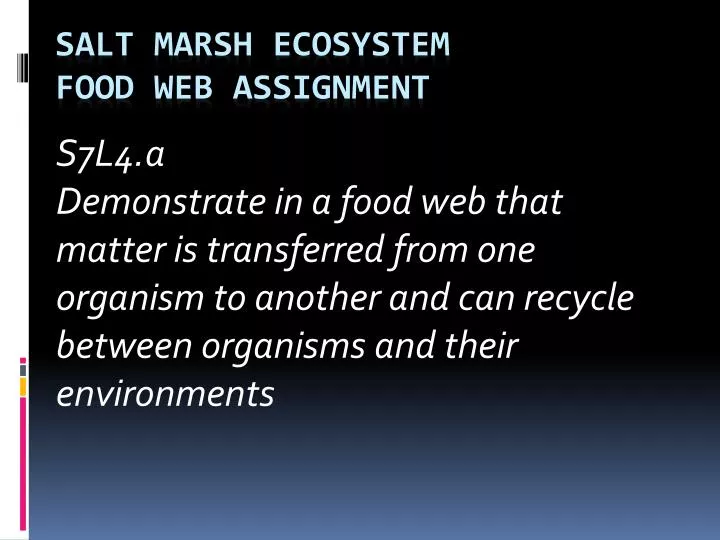 salt marsh ecosystem food web assignment