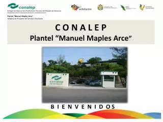 c o n a l e p plantel manuel maples arce