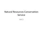 PPT - Conservation Of Natural Resources PowerPoint Presentation, Free ...