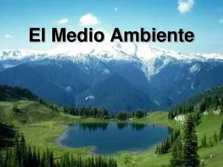 el medio ambiente