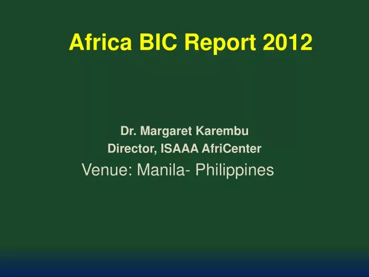 africa bic report 2012