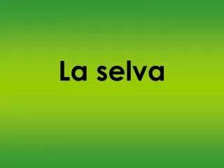 la selva