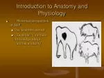 Introduction to Anatomy and Physiology - slide 1