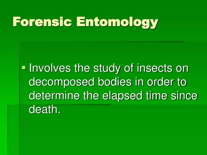 forensic entomology