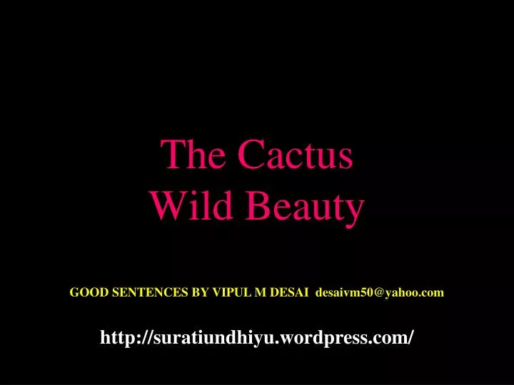 the cactus wild beauty