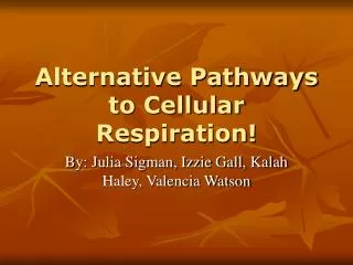 Alternative Pathways to Cellular Respiration!