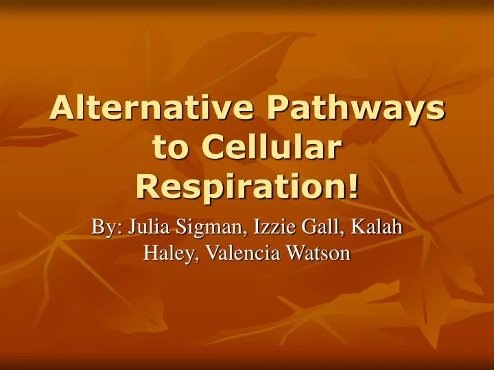 alternative pathways to cellular respiration