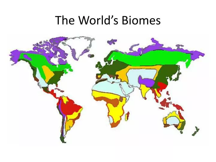 the world s biomes