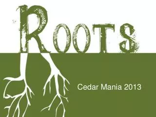 Cedar Mania 2013