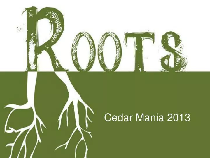 cedar mania 2013