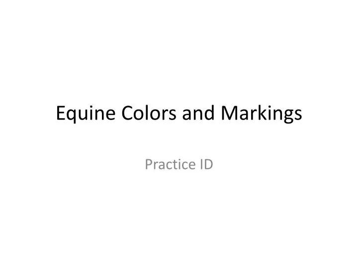 equine colors and markings