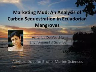 Marketing Mud: An Analysis of Carbon Sequestration in Ecuadorian Mangroves