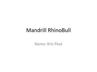 Mandrill RhinoBull