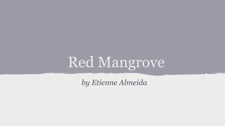 red mangrove