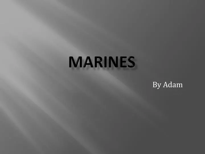 marines