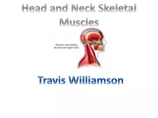 Head and Neck Skeletal Muscles