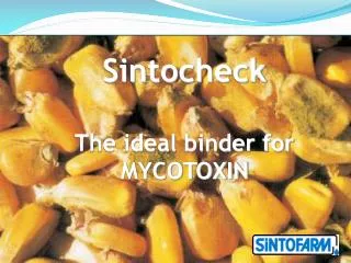 Sintocheck The ideal binder for MYCOTOXIN