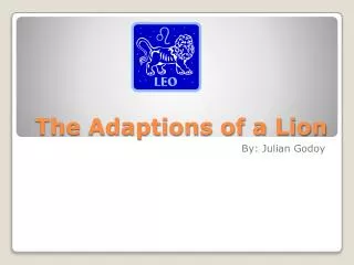 the adaptions of a lion