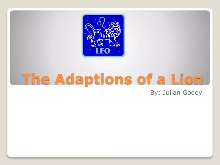 the adaptions of a lion