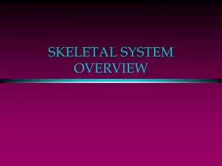 SKELETAL SYSTEM OVERVIEW