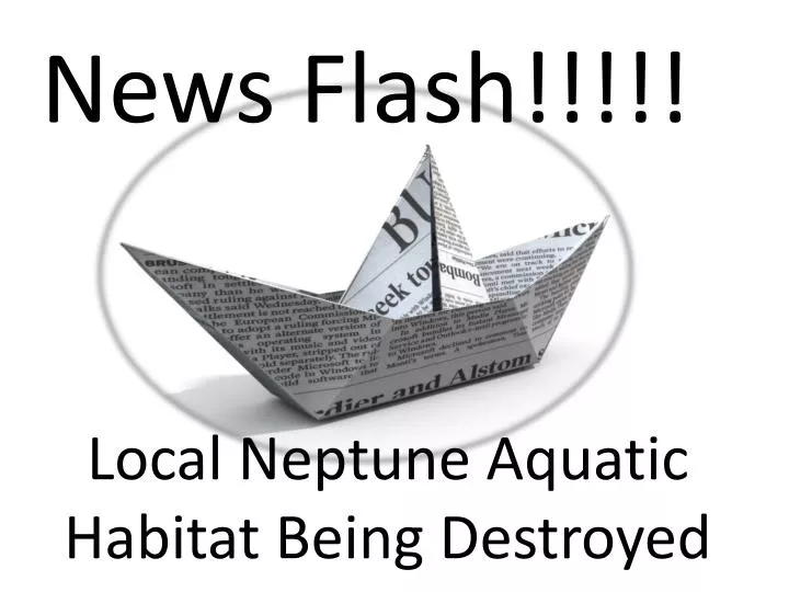 local neptune aquatic habitat being destroyed