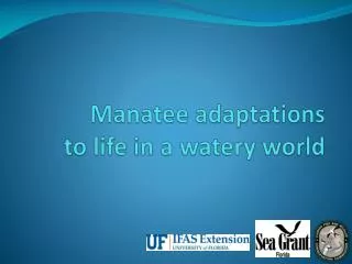 Manatee adaptations to life in a watery world