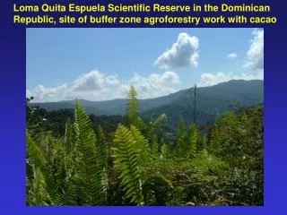 Loma Quita Espuela Scientific Reserve in the Dominican