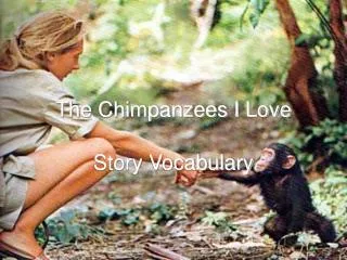 the chimpanzees i love