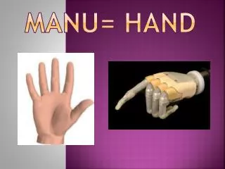 Manu= HAnd